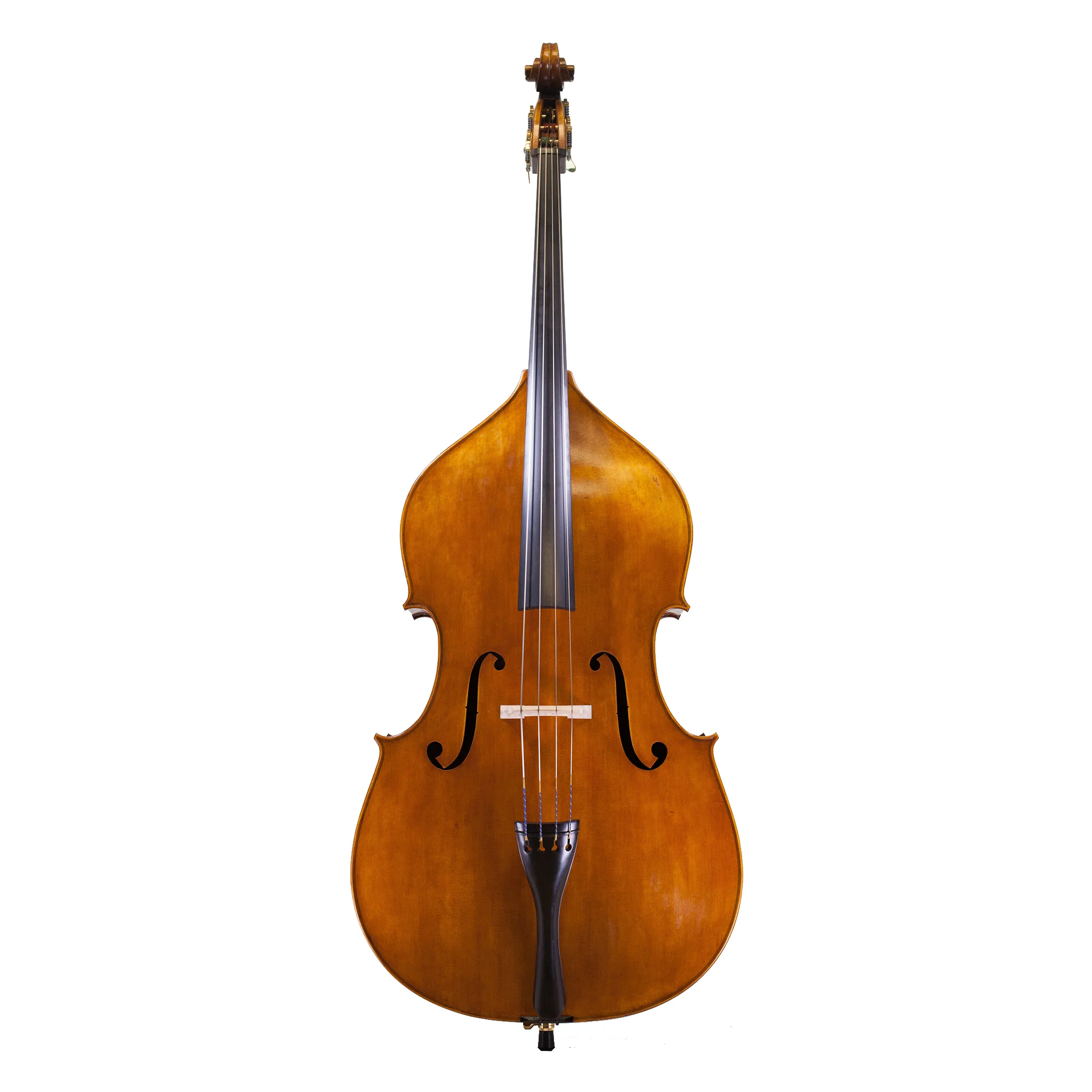 violoncello